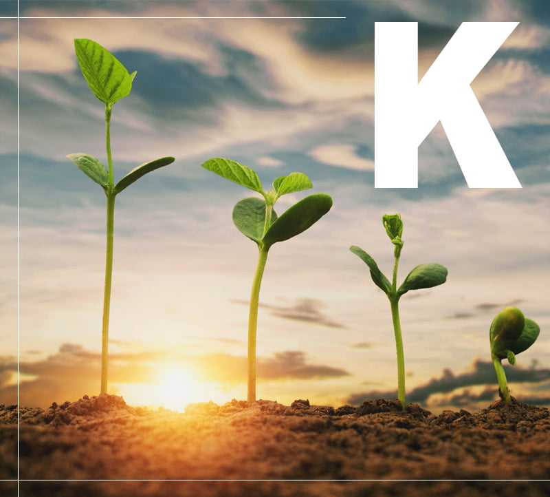 Potassium Fertilizer