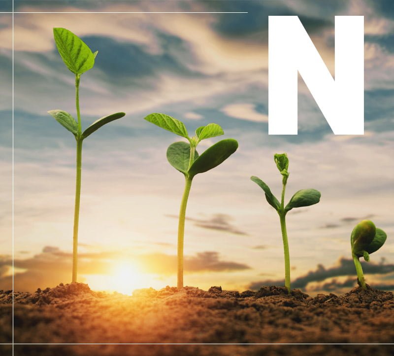 Nitrogen Fertilizer