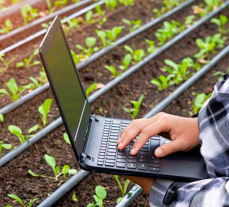 Specialties Fertilizer